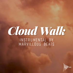 Picture for song 'CLOUD WALK - Chill Hop, R&B Anderson Paak Type B' by artist 'Marvillous Beats'