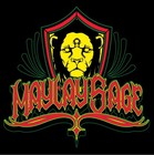 Picture for song 'Hard Knock Allumni Pro: Self LION' by artist 'Maylay Sage 3000'