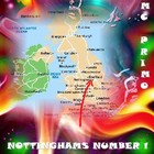 Picture for song 'Nottinghams number 1' by artist 'MC Primo'