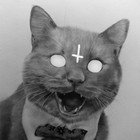 Picture for song 'Circles' by artist 'MegaOnThaBeat'