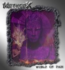 Picture for song 'World of pain' by artist 'MethodX'