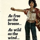 Picture for song 'The Hitchhiker' by artist 'MF Paladin'