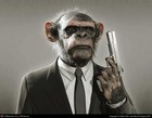 Picture for song '08 MONKEY SNOT' by artist 'Michael Henry Martin'