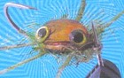Picture for song 'Before The Fronds Of Palm' by artist 'Michael Thomas Jackson'