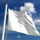Picture for song '"White Flag" FREE Download' by artist 'MIKO GLSS'