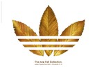 Picture for song 'After Tonite (Nas/Lupe/AZ/Kanye Type)' by artist 'MPire Of Murda Mass'