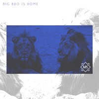 Picture for song 'Big Bro Is Home ' by artist 'Mr.Kooman'