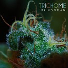 Picture for song 'Trichome' by artist 'Mr.Kooman'