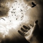 Picture for song 'Fly Away' by artist 'Mr Levy'