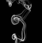 Picture for song 'smoke alot drink alot, Produced by MrGrands' by artist 'MrMrGrands'