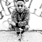 Picture for song '*West Coast* Nobody's Safe -FREE-DL' by artist 'MY BEATS BANG LLC'