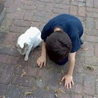 Picture for song ''Happy Memories'' by artist 'Nadia Cripps'