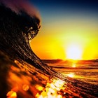 Picture for song 'Coastin' (SOLD)' by artist 'Nasty Beatz Prod.'