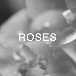 Picture for song 'Roses' by artist 'Nate Rhoads'