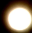 cover pic