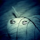 Picture for song 'October: a). Dead Leaves b). Midnight' by artist 'Nightminstrel'