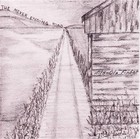 Picture for song 'The Never Ending Road' by artist 'Nils-Ole Finbak'