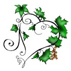 Picture for song 'Entwining Vine' by artist 'Noah Cohn'