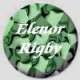 Picture for song 'Elenor Rigby (instrumental)' by artist 'Numi Who Creative Covers'