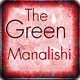 Picture for song 'The Green Manalishi (instrumental)' by artist 'Numi Who Creative Covers'