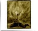 Picture for song 'Forbidden Dreams' by artist 'one mans band'
