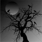 Picture for song 'No Words' by artist 'on my own'
