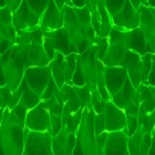 Picture for song 'Astro Turf' by artist 'Osei Ovids Infin8 Soul'