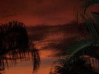 Picture for song 'Pensive (inst)' by artist 'Oval Project'