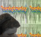 Picture for song 'Delight' by artist 'Paraplegicmonkey'