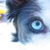 cover pic