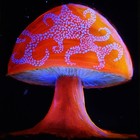 Picture for song 'Lets Get Trippy B*tch *Trippy Music*' by artist 'PeaceTime Beatz'