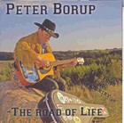 Picture for song 'The Painting on My Wall' by artist 'Peter Borup'