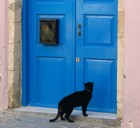 Picture for song 'Blue Door' by artist 'peternigelproductions'