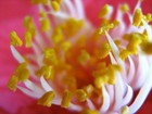 Picture for song 'thanks 4 being beautiful' by artist 'pilot beacon deluxe'