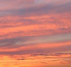 Picture for song 'Improvviso risveglio' by artist 'Pino'