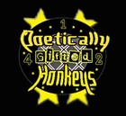 Picture for song 'Stuck in the 412 FT/Hardkore' by artist 'Poetically Gifted Honkeys'