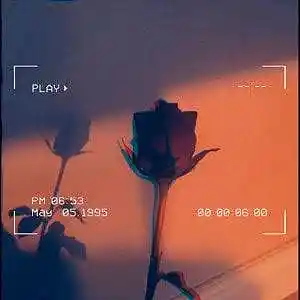 Song picture