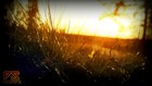 Song picture