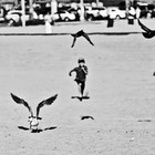 Picture for song 'A Lost Cause' by artist 'RADIO-LAB'