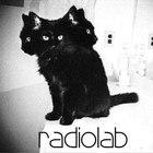 Picture for song 'the Wallflower Dance' by artist 'RADIO-LAB'