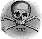 Picture for song 'Skull n Bonez' by artist 'RAK'