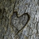Picture for song 'Love Isn't Always' by artist 'Ralph Atkinson'