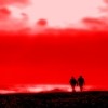 Picture for song 'Dream Of My Dreams' by artist 'RavenTales'