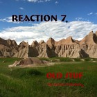 Picture for song 'Truck Driver' by artist 'Reaction 7'