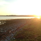 Picture for song 'Solstraaler i ryggen' by artist 'Rikke Steffensen'