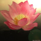 Picture for song 'Sweet and Lovely' by artist 'Rinaldo'