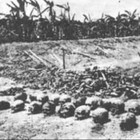 Picture for song 'Genocide' by artist 'Rip Knoxx'