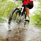 Picture for song 'Bicycle Puddles' by artist 'Robin And The Giant'
