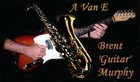 Picture for song 'Turnaround Blues' by artist 'Robin James'