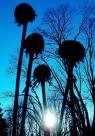 Picture for song '#154- Fade To Blue (1995)' by artist 'Rob Lincoln'